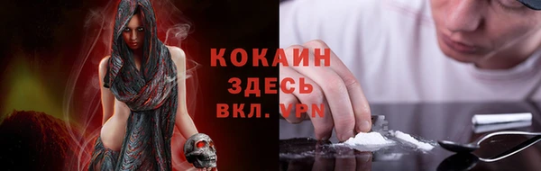 спиды Алзамай